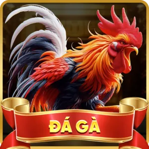 Các trò chơi nổ hũ (slot game) tại C54 với cơ hội trúng jackpot cực lớn.