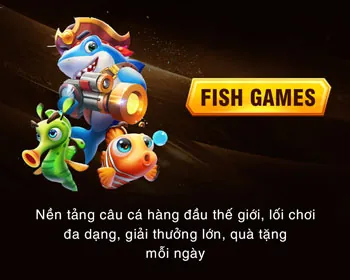 Công bằng và minh bạch C54